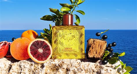 versace eros perfume scent notes